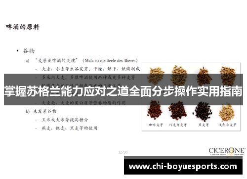 掌握苏格兰能力应对之道全面分步操作实用指南