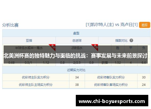 北美洲杯赛的独特魅力与面临的挑战：赛事发展与未来前景探讨