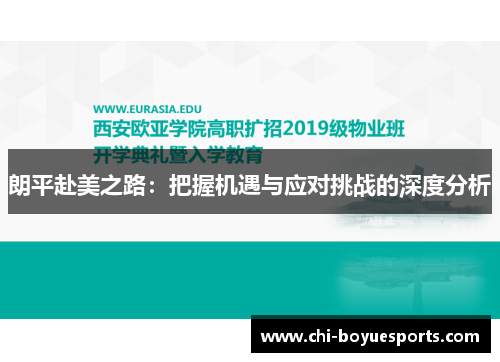 朗平赴美之路：把握机遇与应对挑战的深度分析
