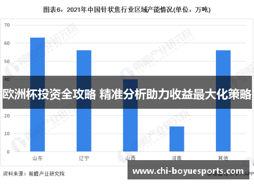 欧洲杯投资全攻略 精准分析助力收益最大化策略 欧洲杯投资全攻略 精准分析助力收益最大化策略