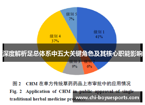 深度解析足总体系中五大关键角色及其核心职能影响 深度解析足总体系中五大关键角色及其核心职能影响