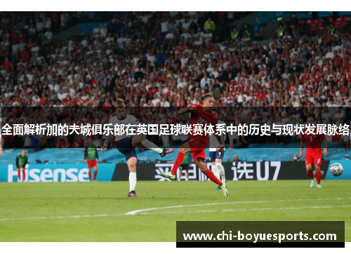 全面解析加的夫城俱乐部在英国足球联赛体系中的历史与现状发展脉络