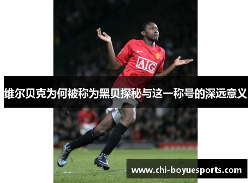 维尔贝克为何被称为黑贝探秘与这一称号的深远意义