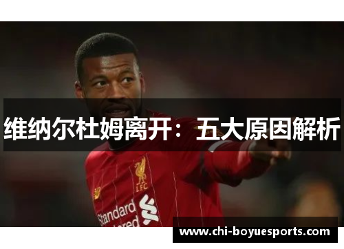 维纳尔杜姆离开：五大原因解析