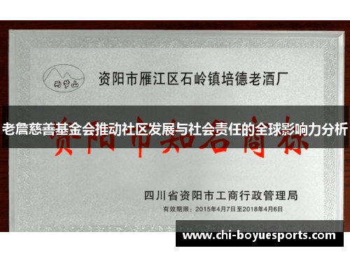 老詹慈善基金会推动社区发展与社会责任的全球影响力分析