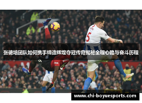 张德培团队如何携手缔造辉煌夺冠传奇揭秘全程心路与奋斗历程